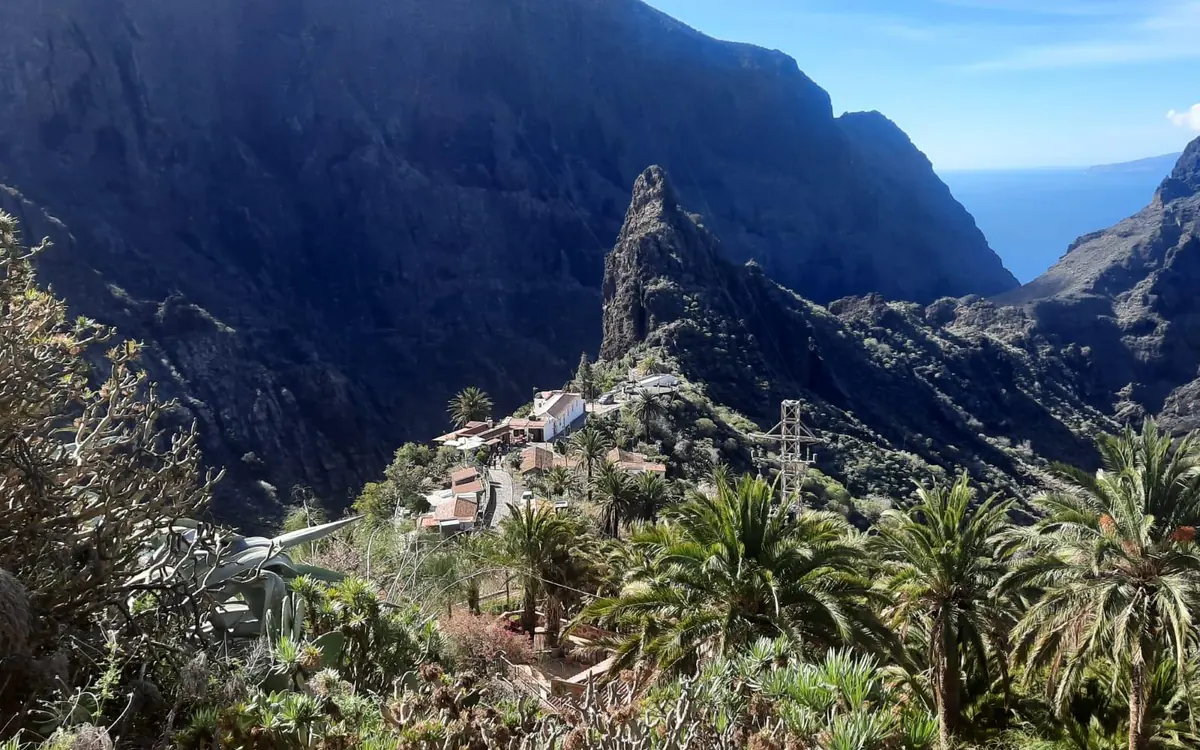 A deep green valley of palms and terraced slopes seen from the road above it